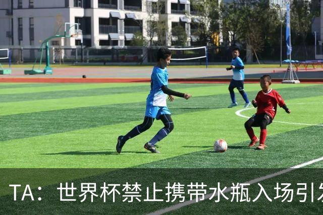 TA：世界杯禁止携带水瓶入场引发争议，被质疑纯粹是为了捞钱